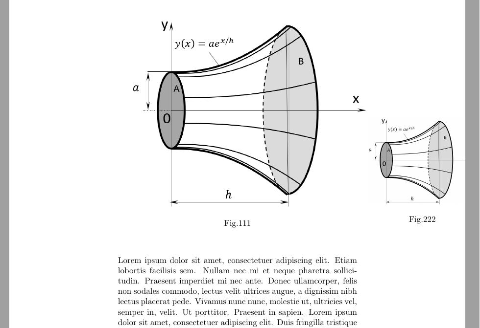 figure_in_margins.png