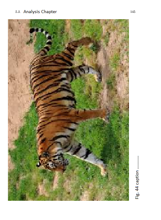 tiger.png
