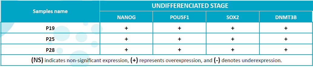 table.png