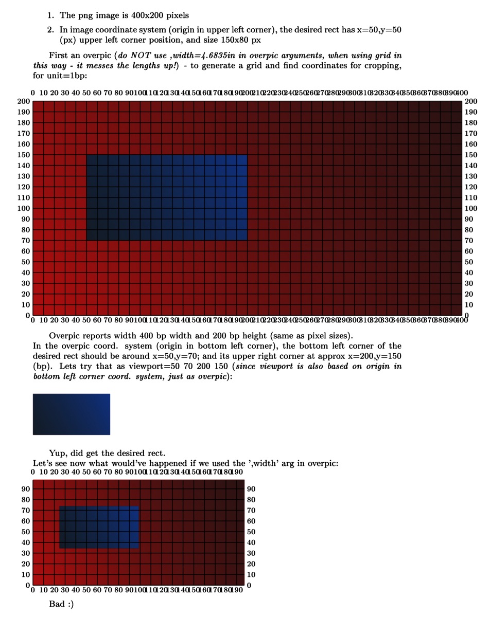 cropsizetest.jpg