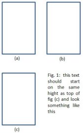 example.jpg