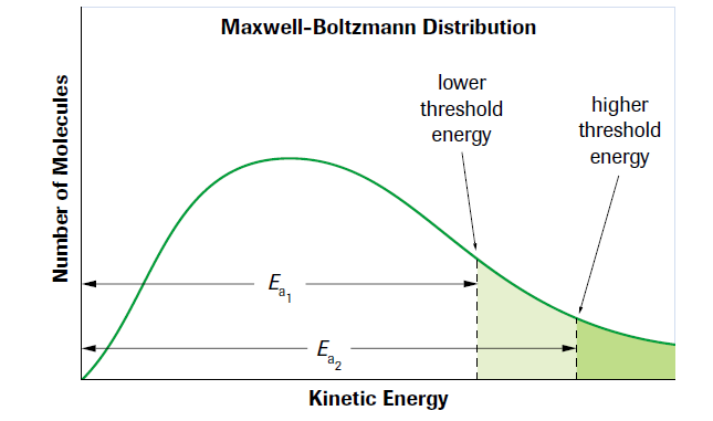 function.PNG