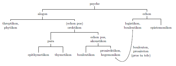 TikZ qtree