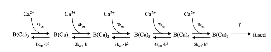 equation.png