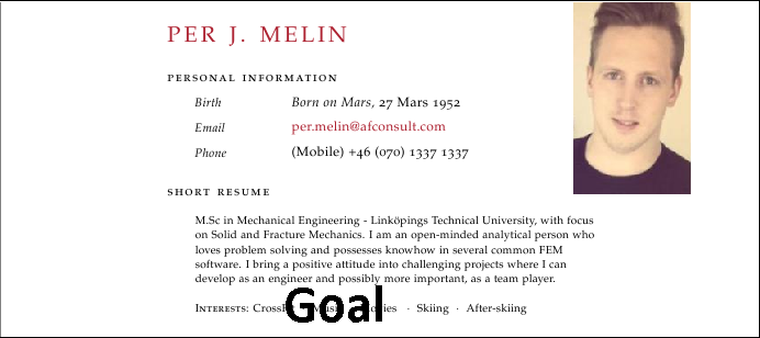 CV-goal.png