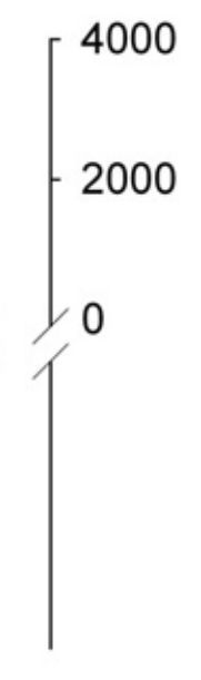 OtKRX.jpg