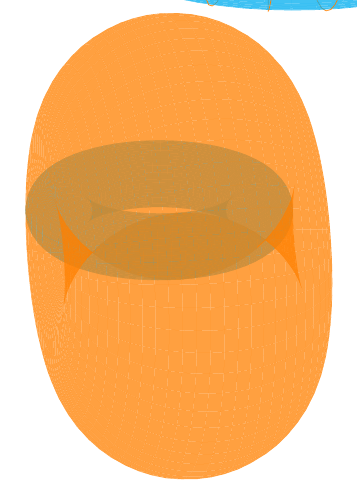 failed_interlocking_tori.png